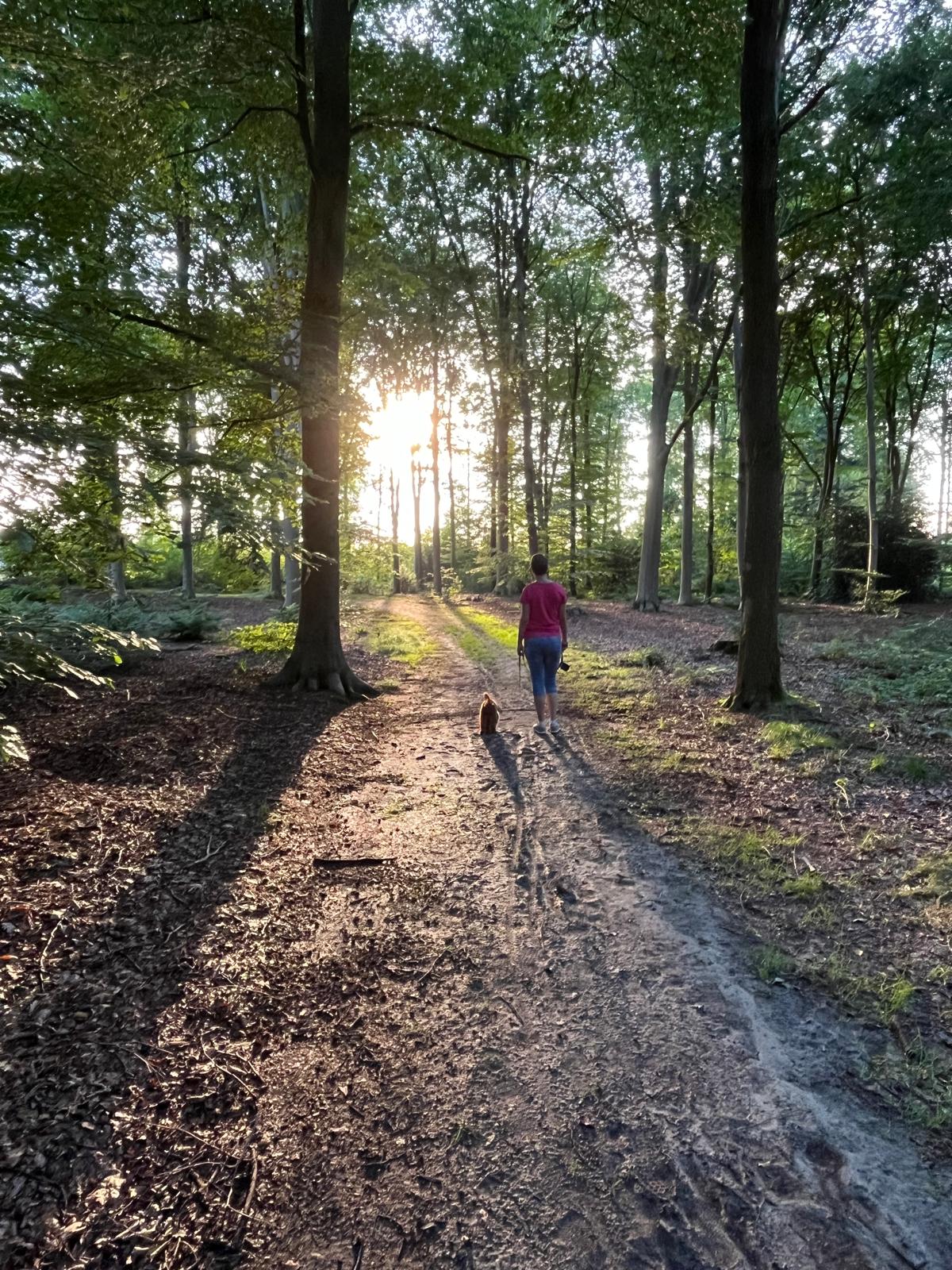 Omgeving Twente natuur